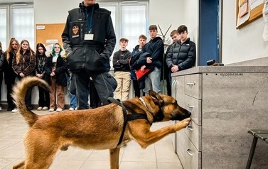 Wycieczka klas Ib i IIc LO 6