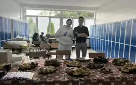 Image_20250918_064854_413